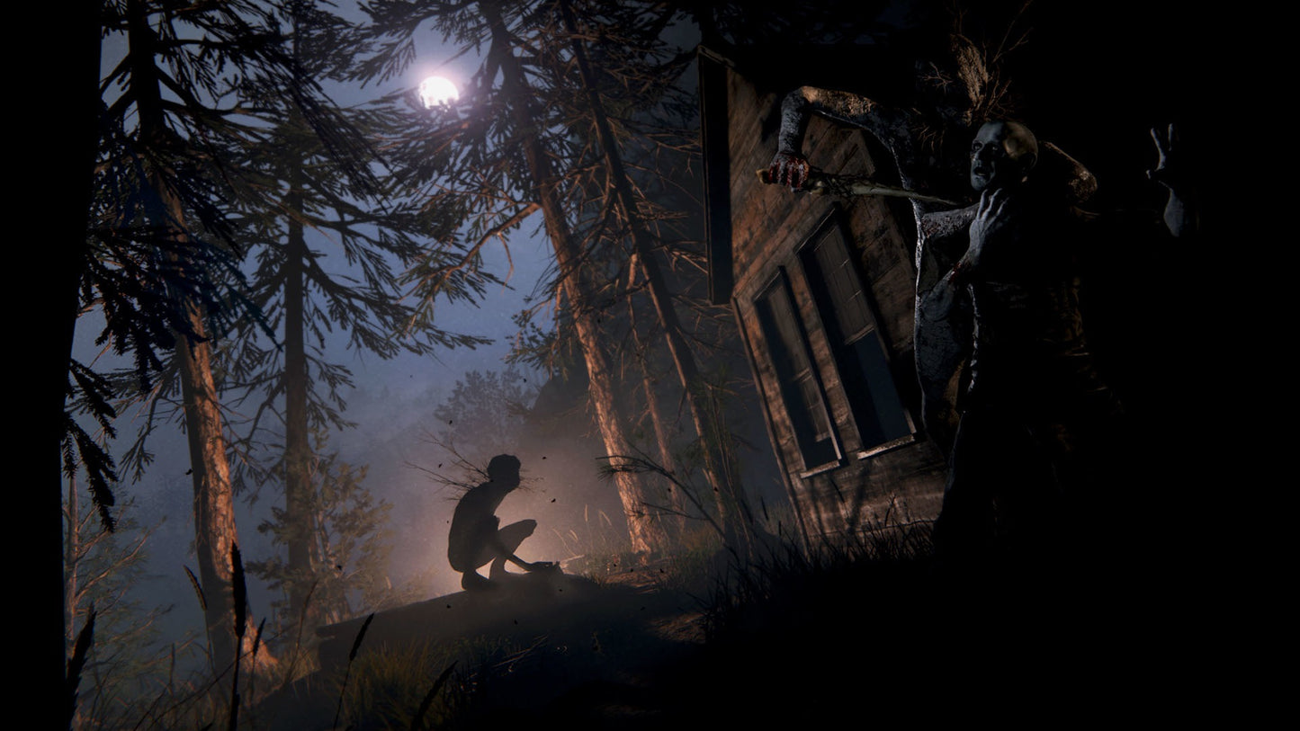 Outlast 2 EU PC Steam CD Key