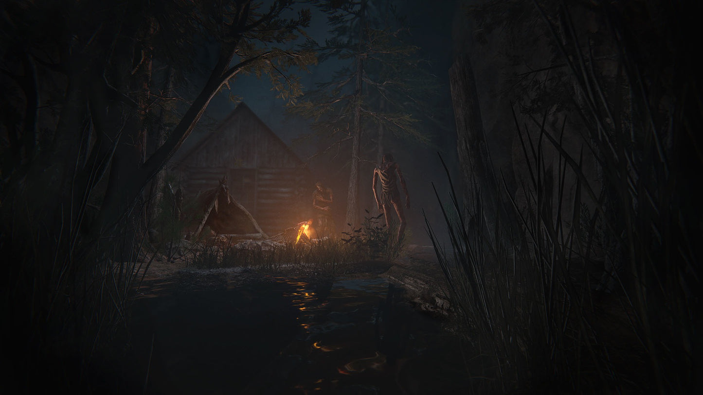 Outlast 2 EU PC Steam CD Key