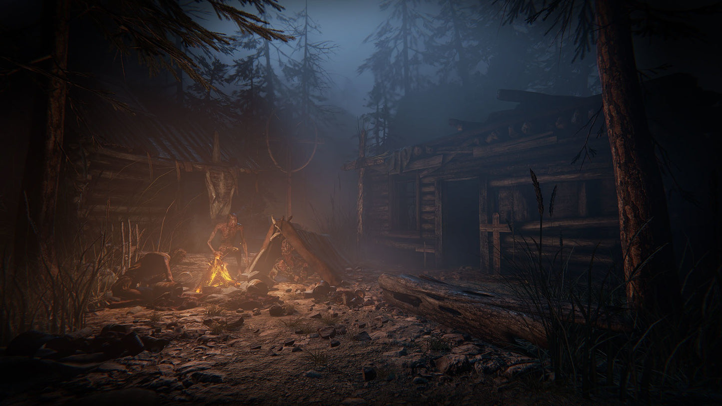 Outlast 2 EU PC Steam CD Key