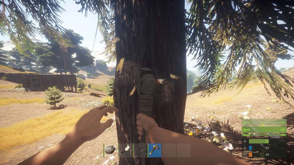 RUST Steam CD Key