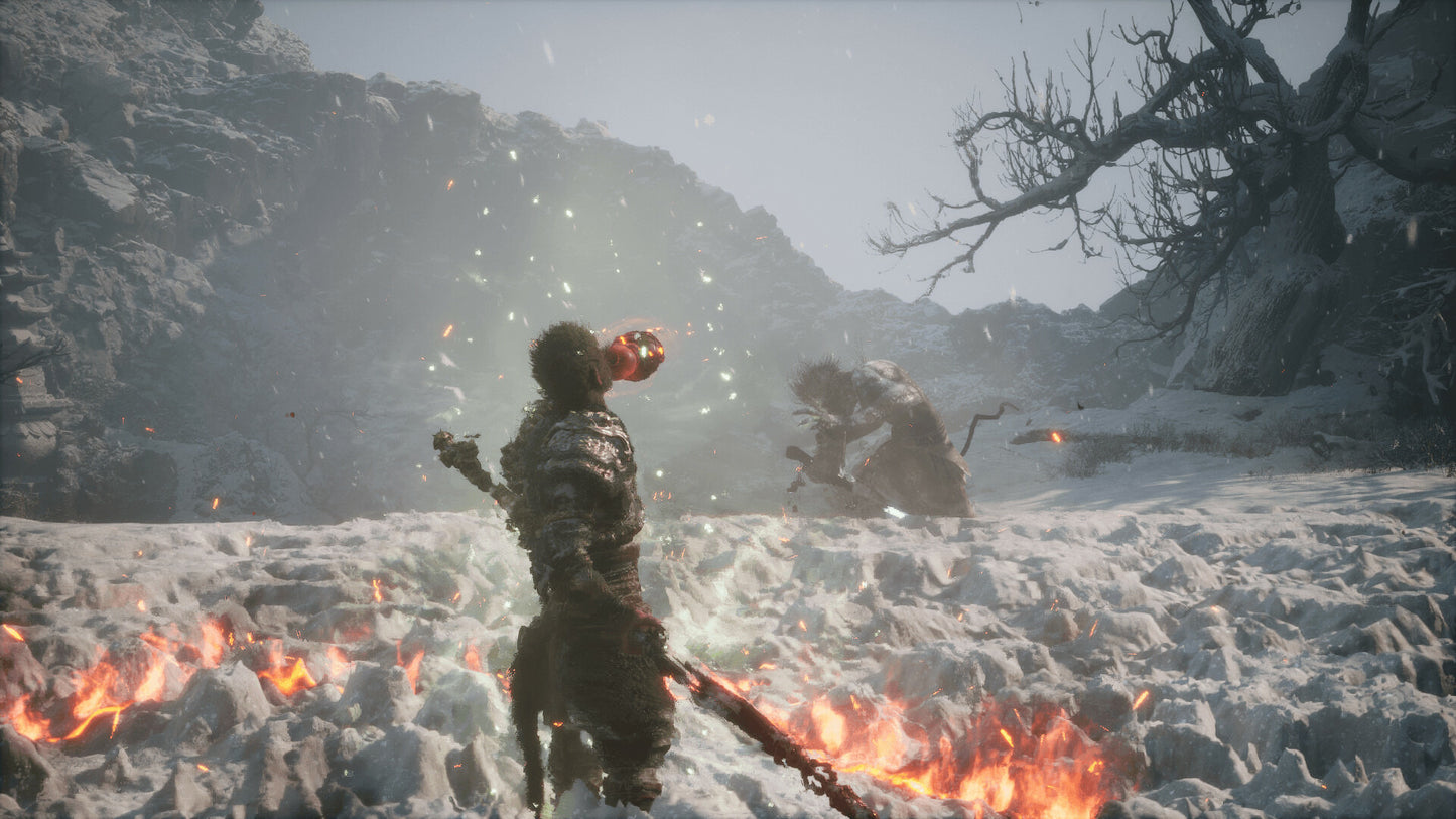 Black Myth: Wukong PC Steam CD Key