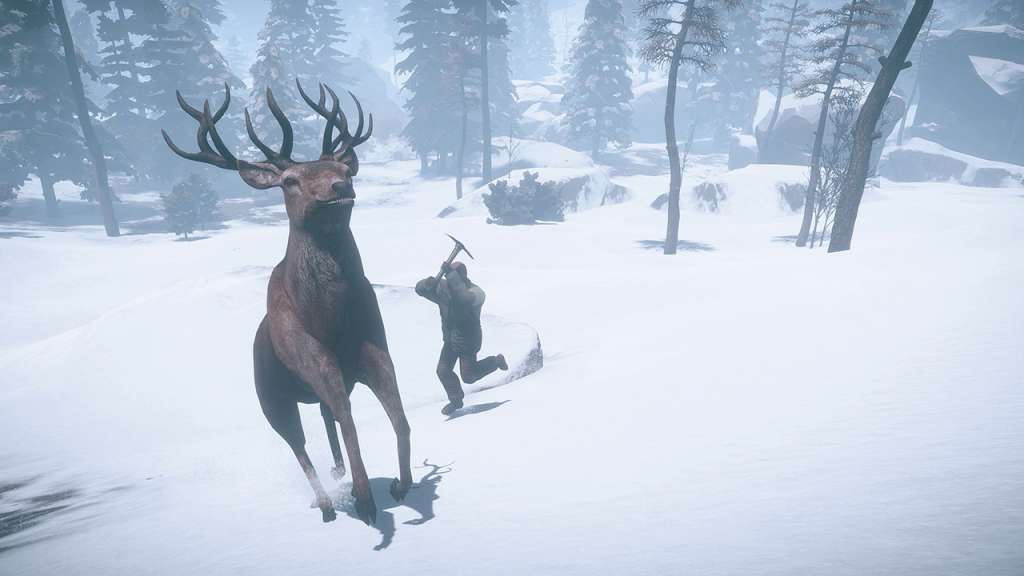 RUST Steam CD Key