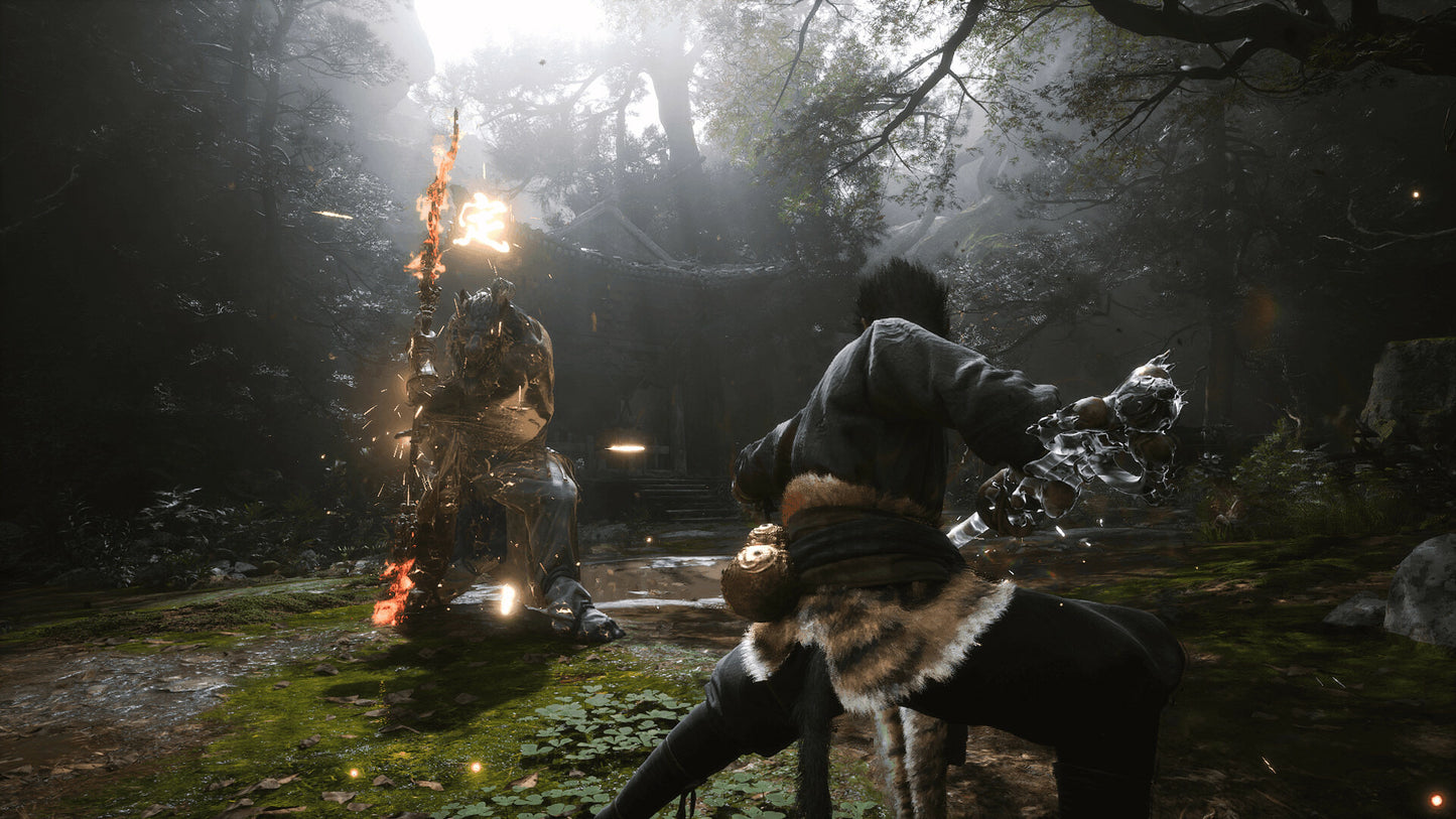 Black Myth: Wukong - Deluxe Edition Upgrade DLC EU (without DE) PS5 CD Key