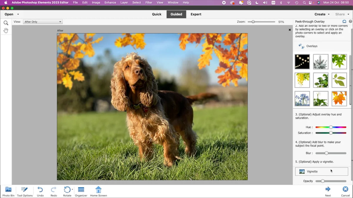 Adobe Premiere Elements 2023 – Licență Permanentă (1 MAC)