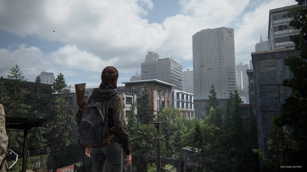 The Last of Us Part 2 Remastered EU PC Steam CD Key