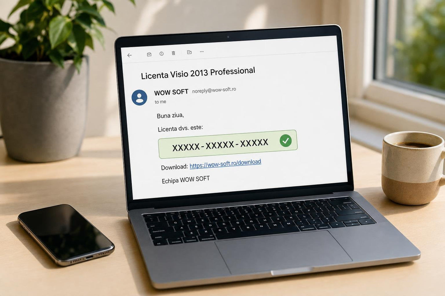 Licență Visio 2013 Professional 5 PC - Activare Online Microsoft