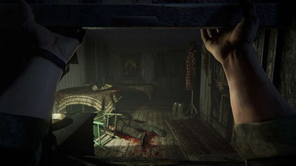 Outlast 2 EU PC Steam CD Key