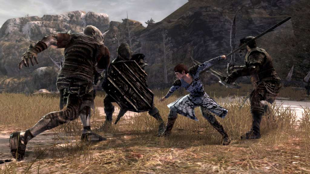 Lord of the Rings: War in the North PC Steam CD Key