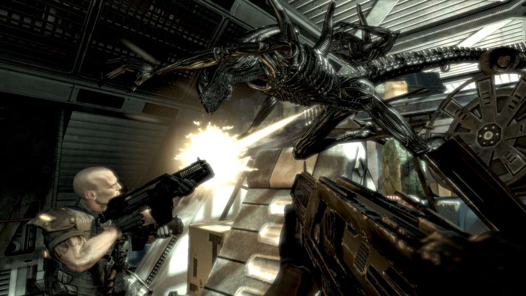 Aliens Vs. Predator Steam CD Key