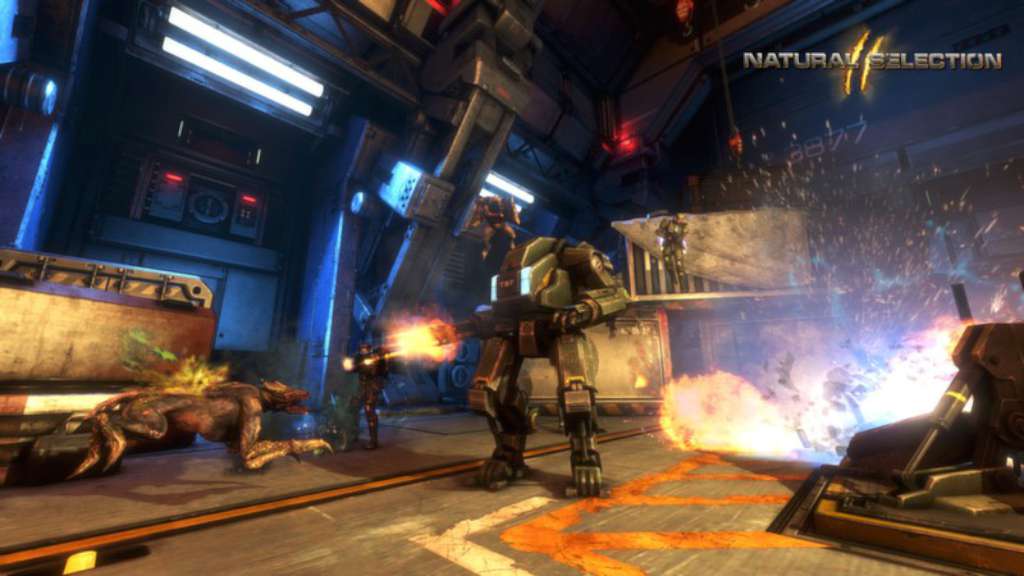 Natural Selection 2 PC Steam CD Key