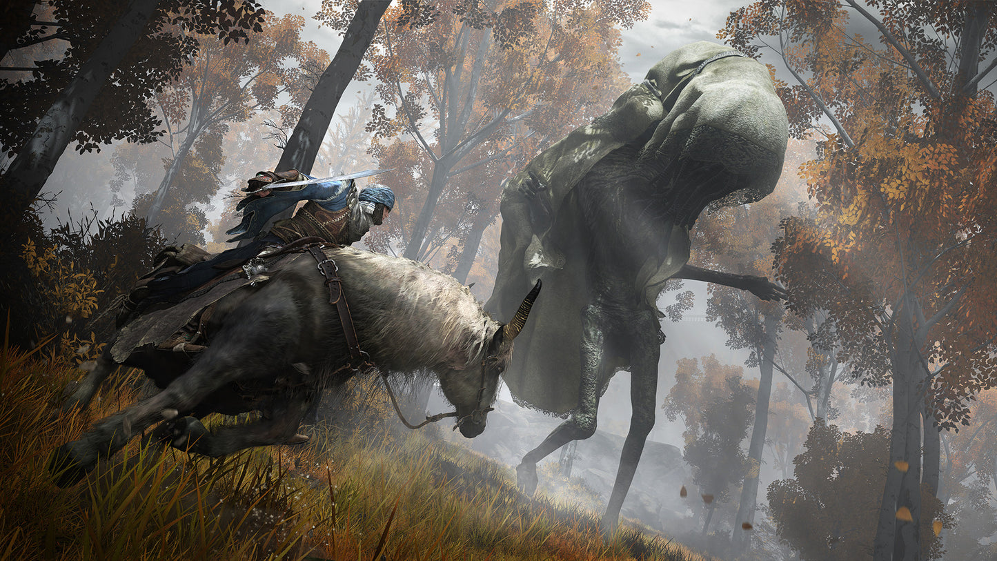 ELDEN RING: Shadow of the Erdtree Deluxe Edition EU Steam CD Key