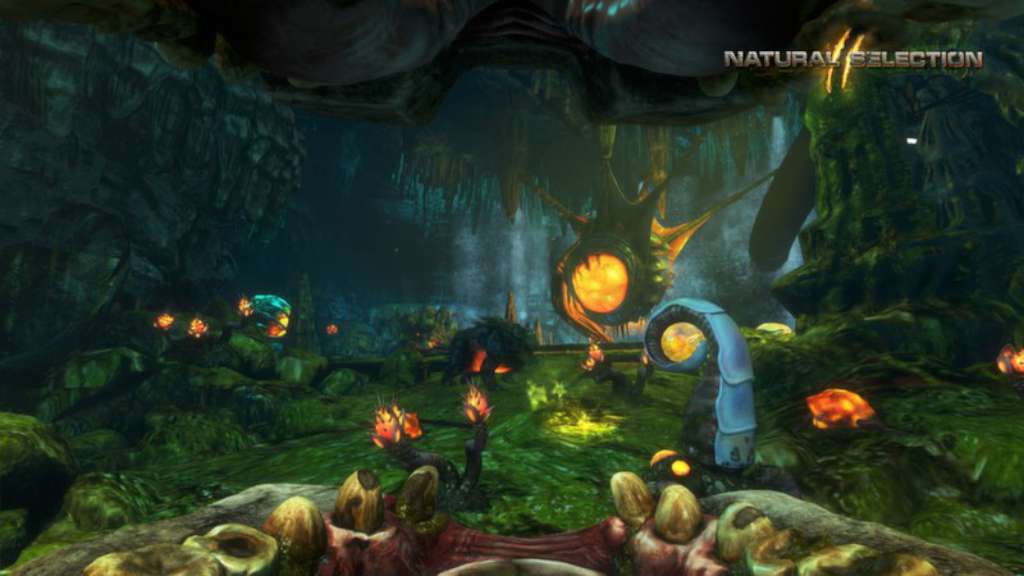Natural Selection 2 PC Steam CD Key