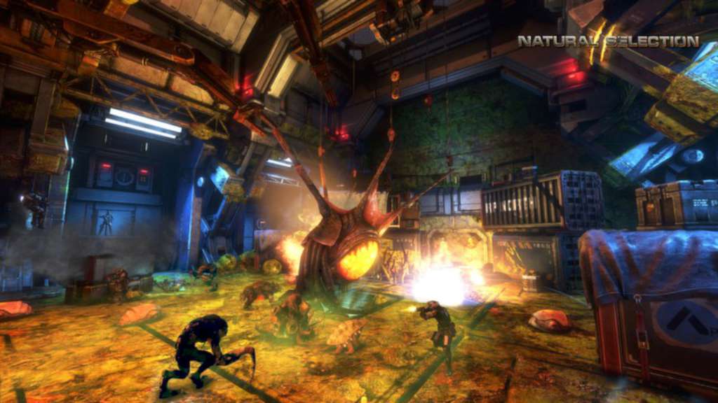 Natural Selection 2 PC Steam CD Key