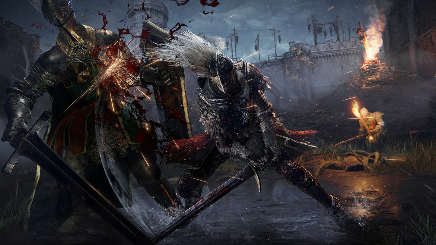 ELDEN RING: Shadow of the Erdtree Edition EU Steam CD Key
