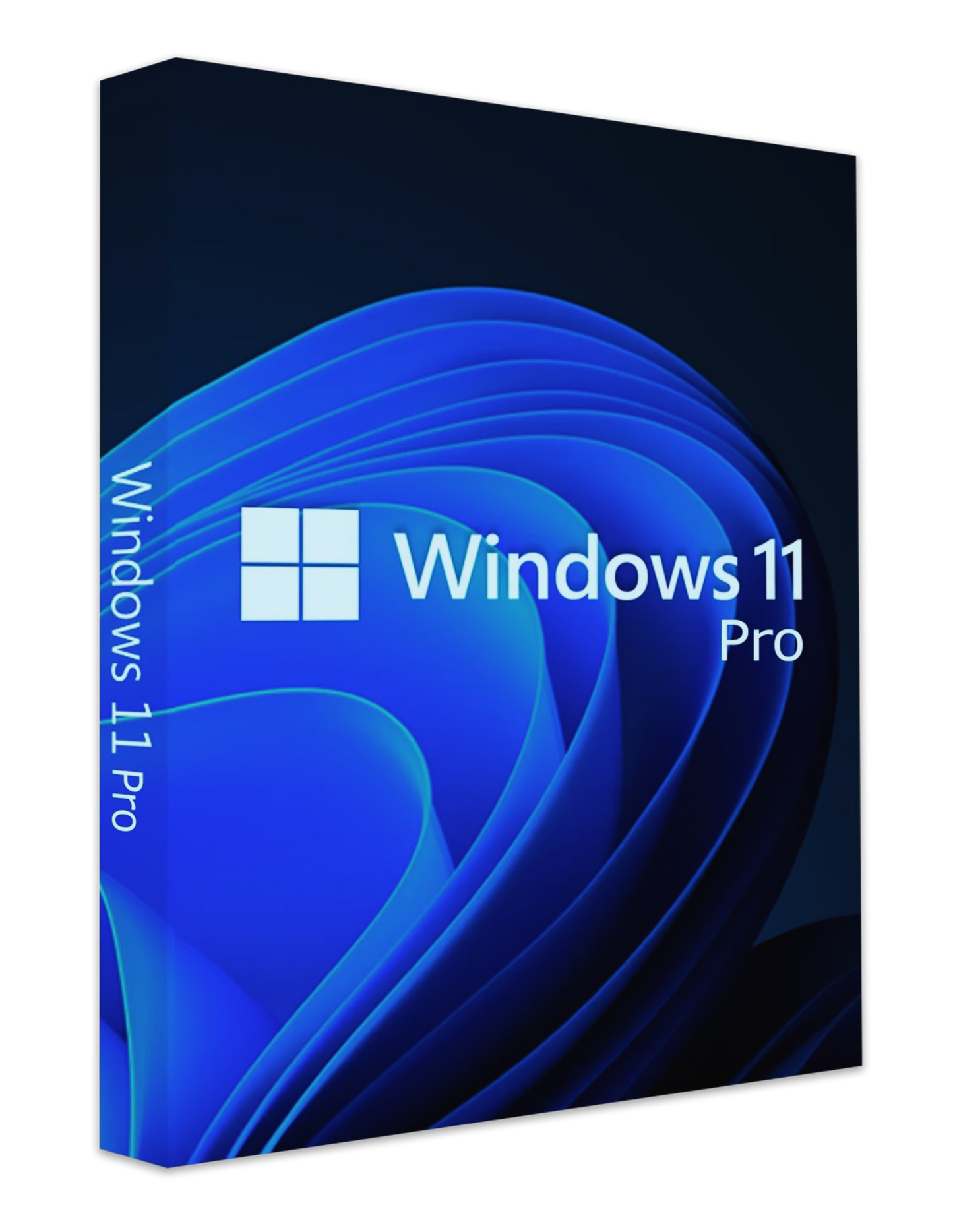 Windows 11 Pro