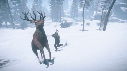RUST Steam CD Key