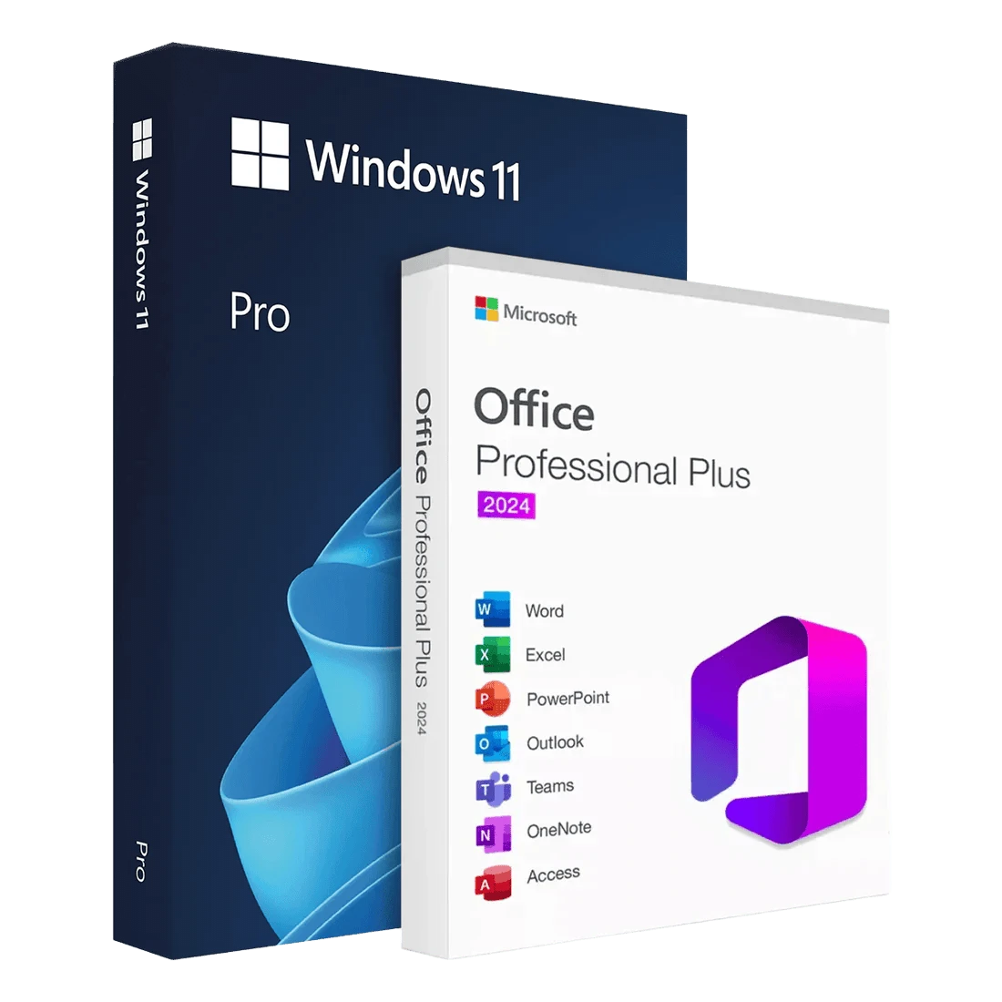 Windows 11 Pro USB si Office 2024 Pro Plus
