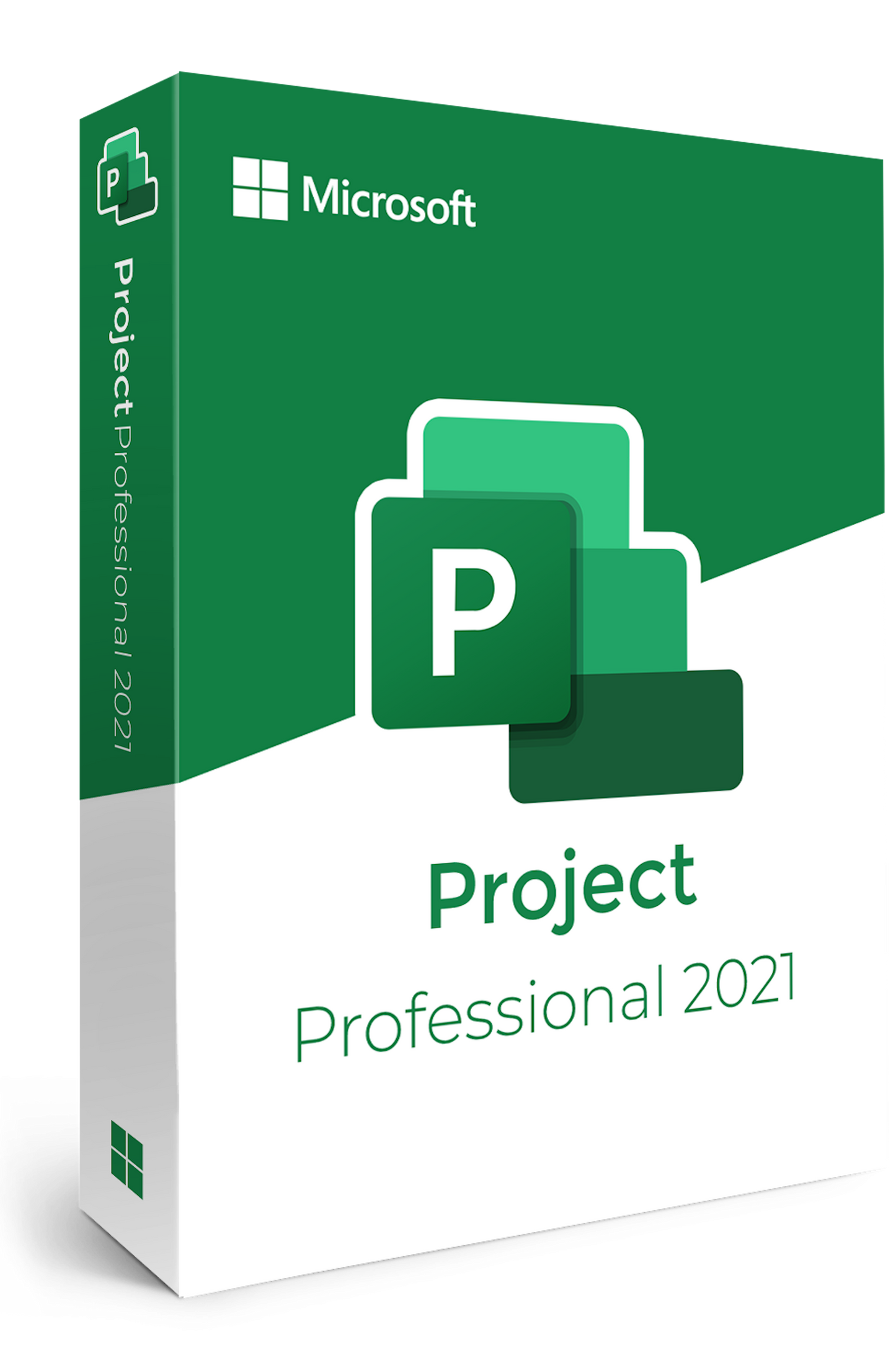 Microsoft Project Professional 2021