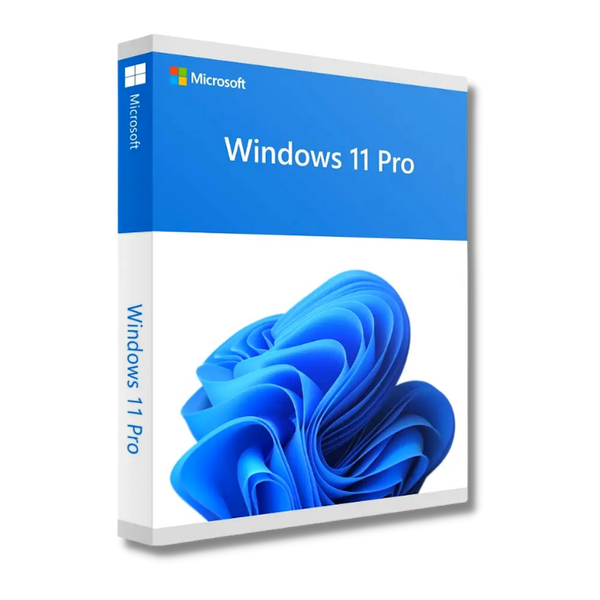 Licență Windows 11 Pro OEM
