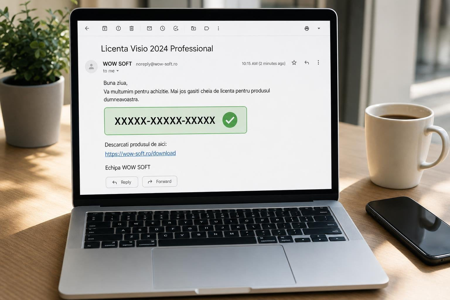 Licență Visio 2024 Professional 1 PC - Asociere Cont Microsoft Microsoft