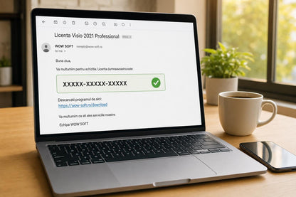 Licență Visio 2021 Professional 2 PC - Activare Online Microsoft
