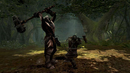 Lord of the Rings: War in the North PC Steam CD Key