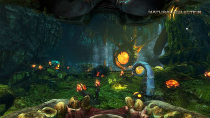 Natural Selection 2 PC Steam CD Key