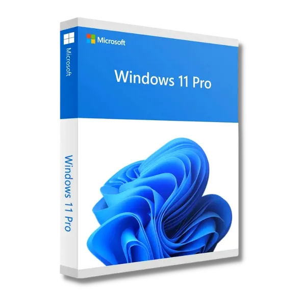 Licență Windows 11 Pro OEM